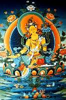 01tara01.jpg