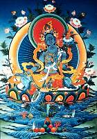 01tara02.jpg