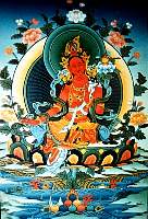 01tara03.jpg