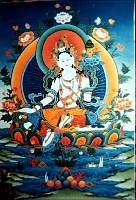 01tara04.jpg