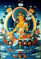 01tara05.jpg