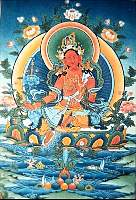01tara06.jpg