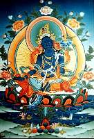 01tara07.jpg