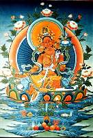 01tara09.jpg