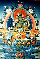 01tara10.jpg