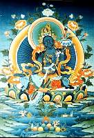 01tara11.jpg