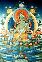 01tara13.jpg