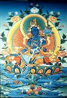 01tara14.jpg