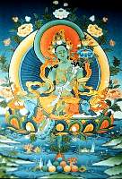 01tara15.jpg