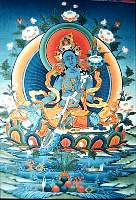 01tara16.jpg