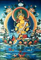 01tara18.jpg