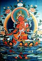 01tara19.jpg
